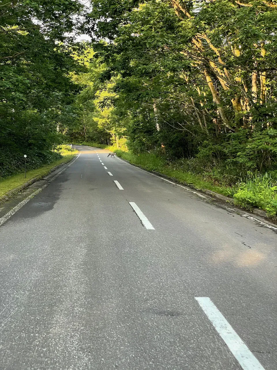 草津温泉へ2泊3日の旅行して毎朝ヒルクライム - 画像17