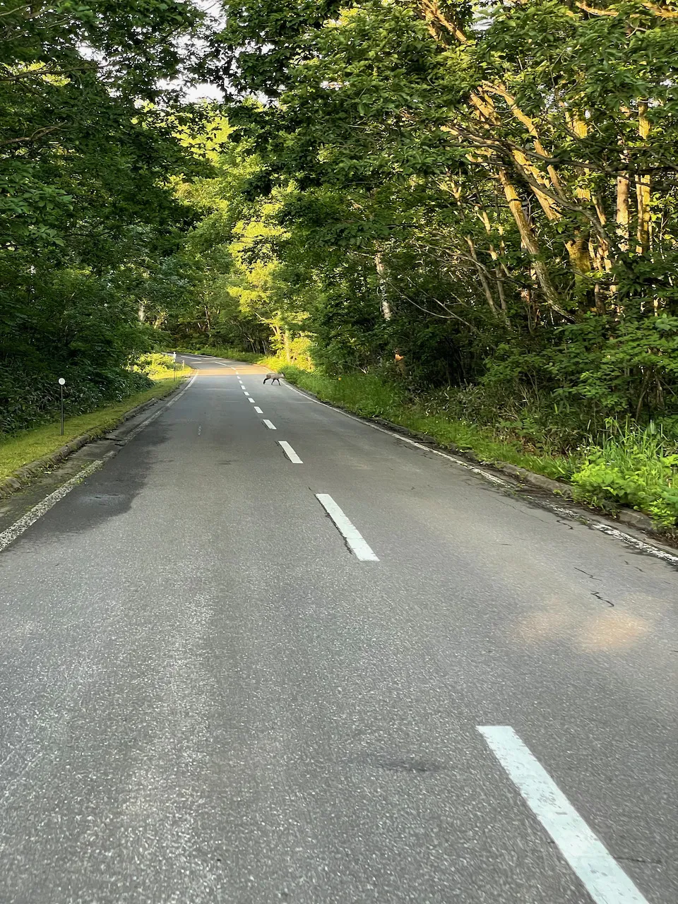 草津温泉へ2泊3日の旅行して毎朝ヒルクライム - 画像17