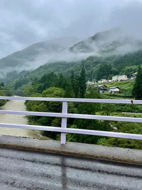豪雨の影響で濁ってます。