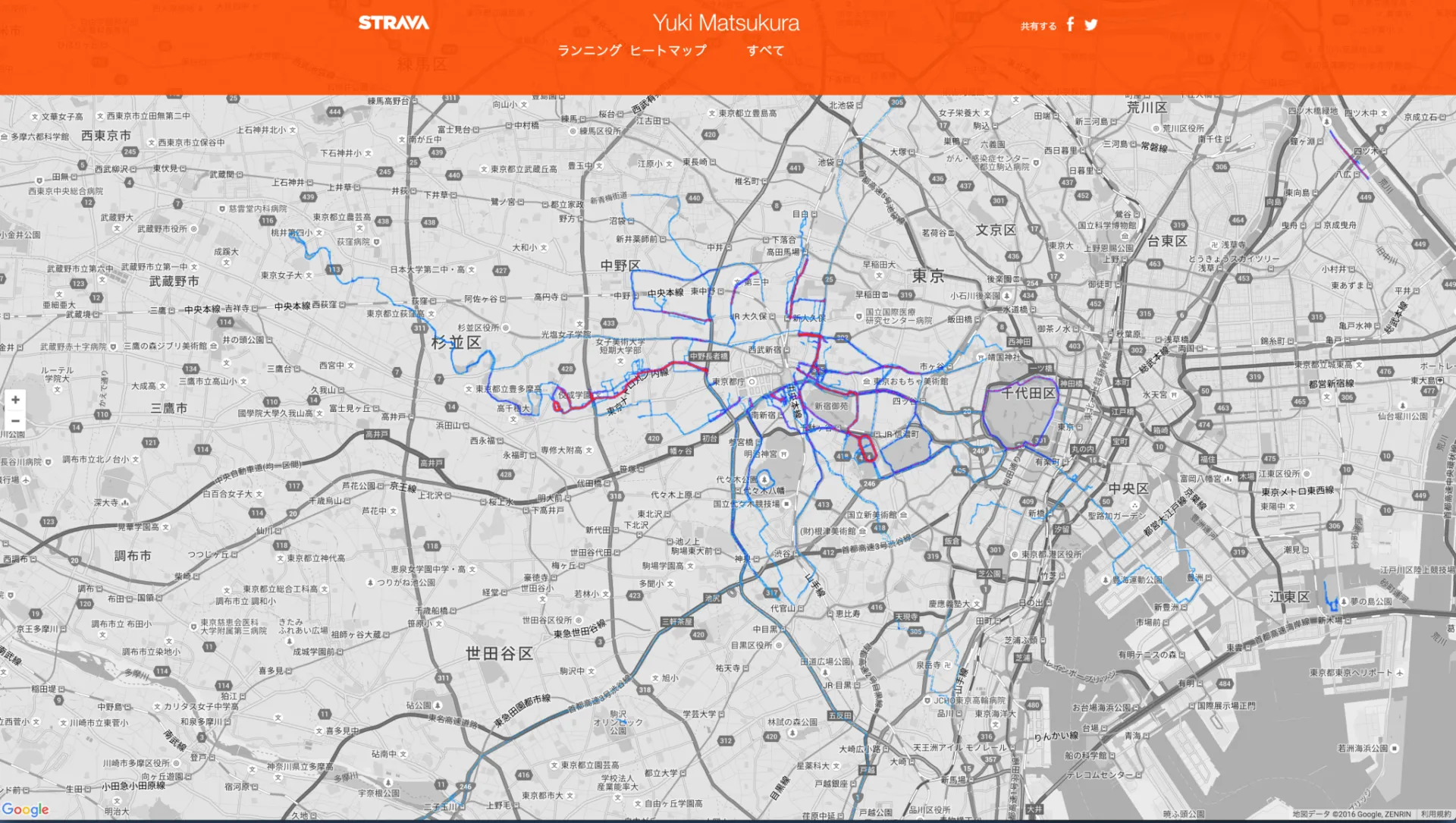 strava heat map