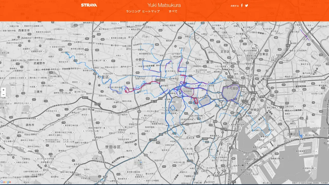 strava heat map