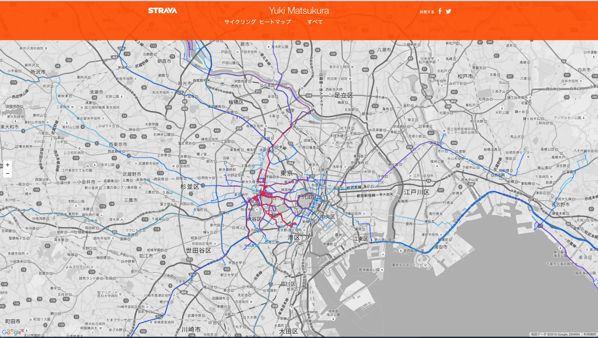 strava heat map