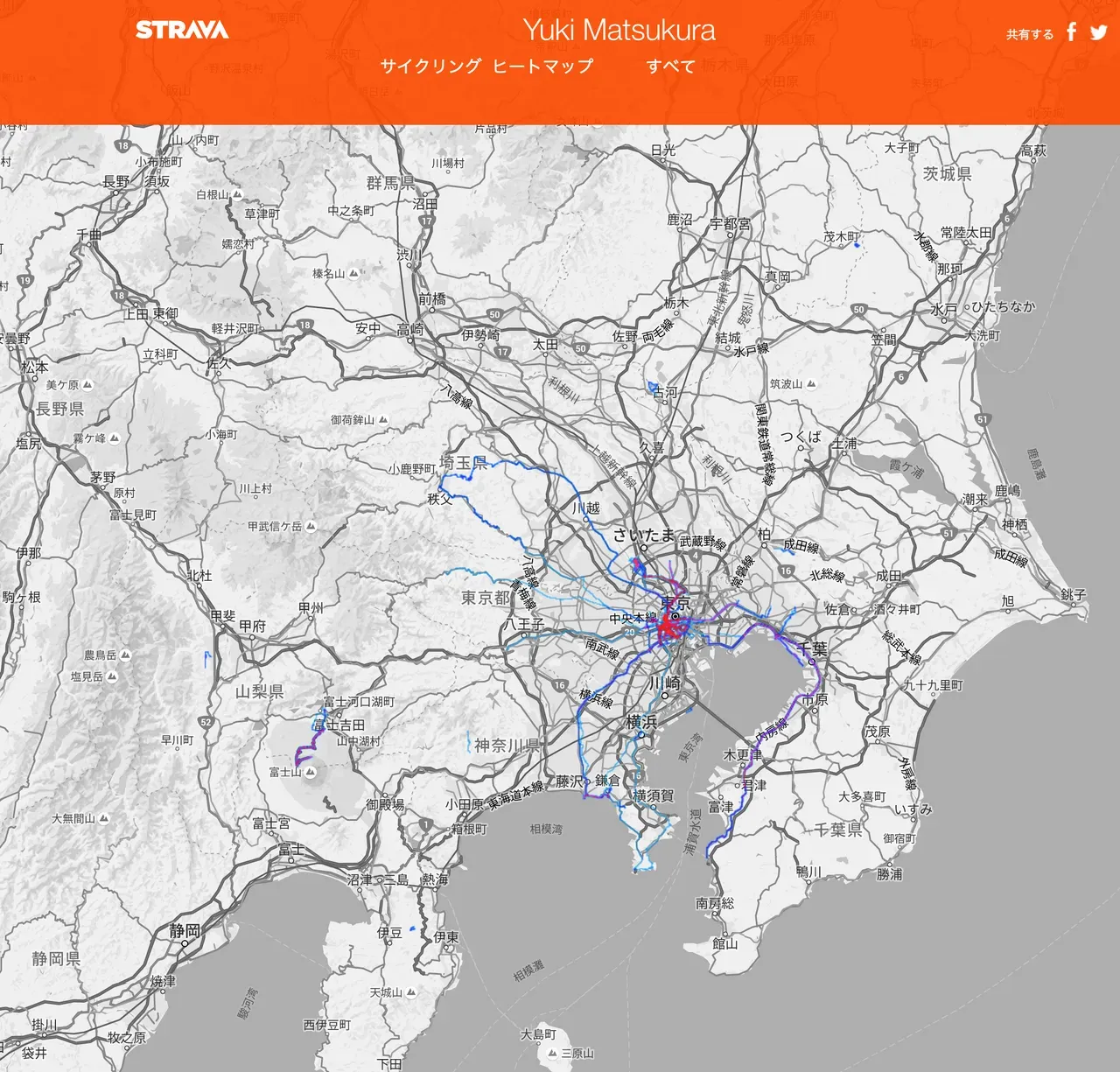 strava heat map