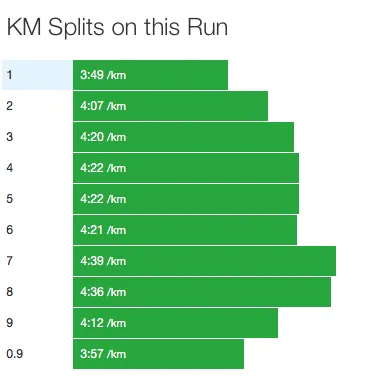 2017東京都トライアスロン渡良瀬大会。エイジ2位でした - 画像3