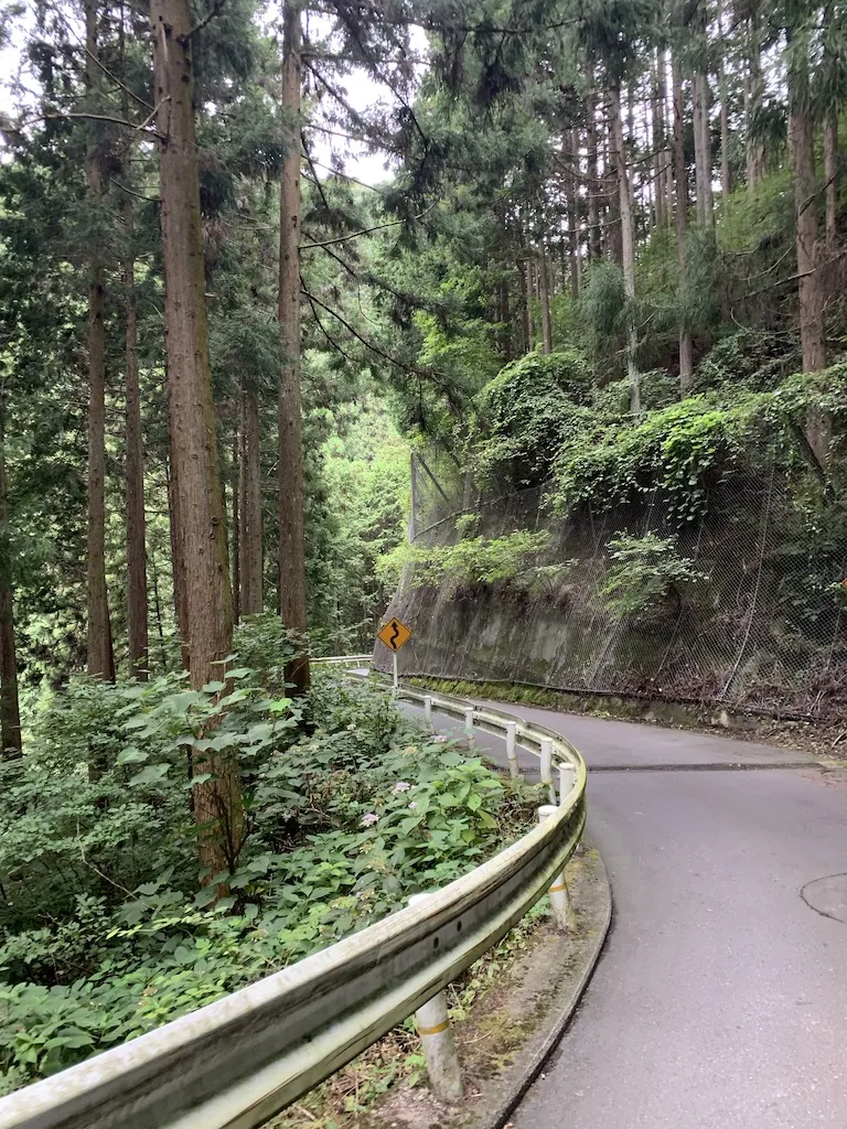 陣馬山へ峠走 トレーニング 36km - 画像2