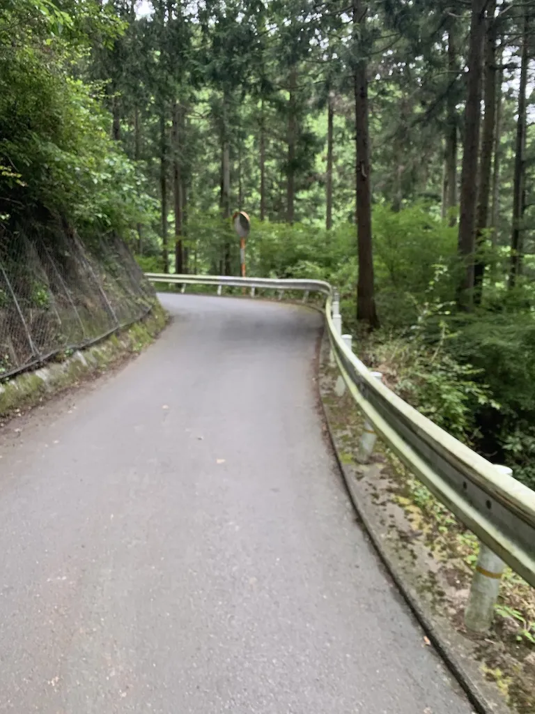 陣馬山へ峠走 トレーニング 36km - 画像1