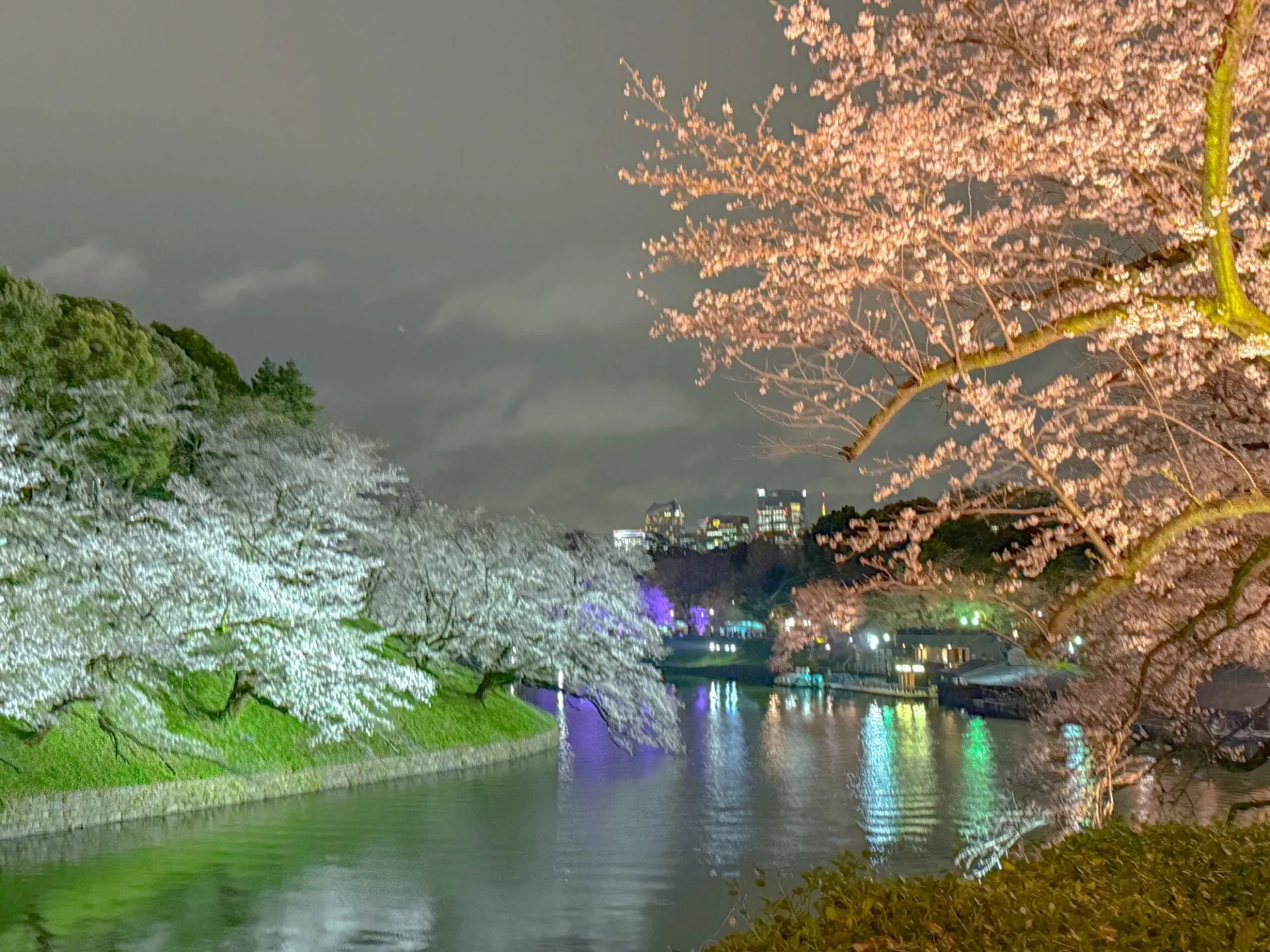 お花見ランコース　夜でも昼でもOK - 画像6