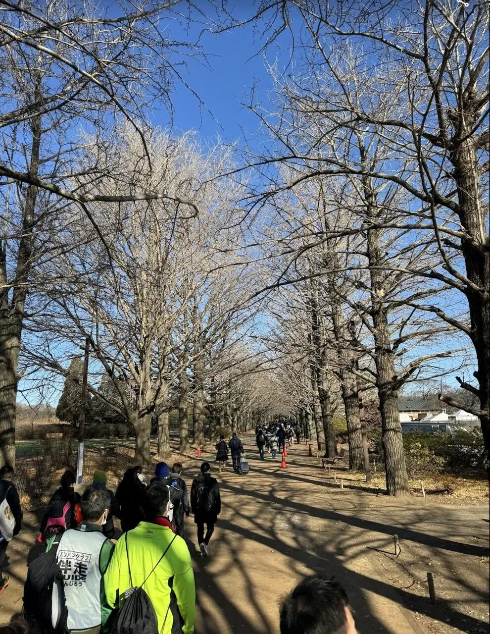 フルマラソン駅伝に参加！2km x 5本走りました - 画像4