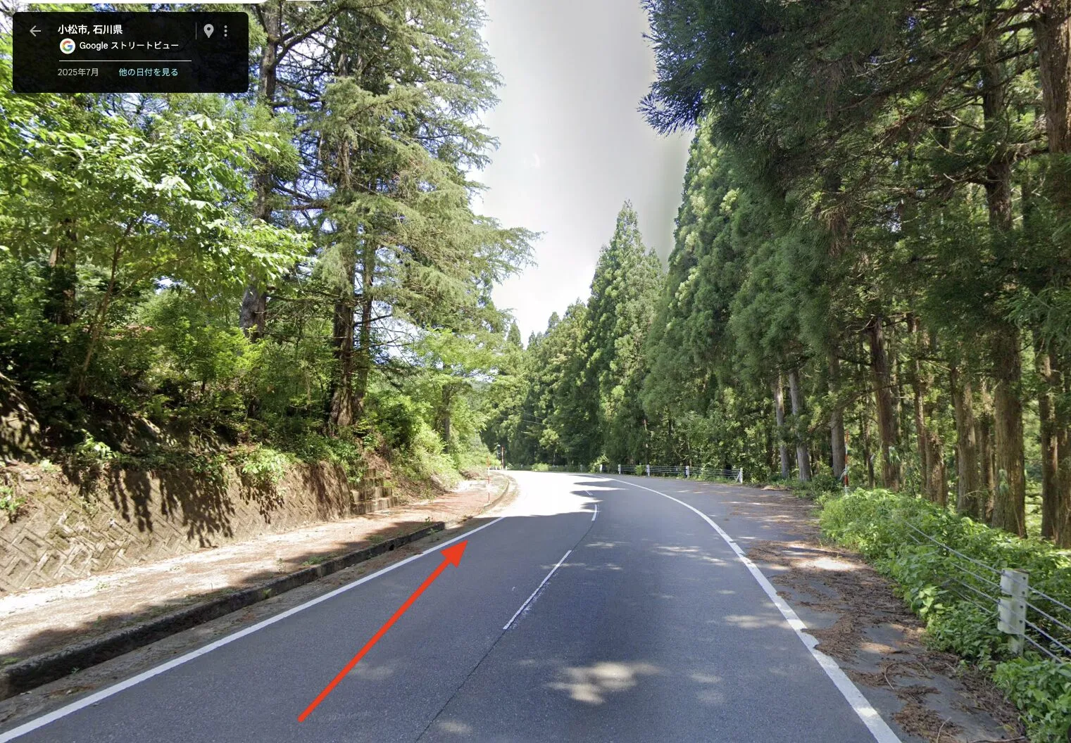 2025年　小松鉄人レース　鉄人の部　完走 - 画像20