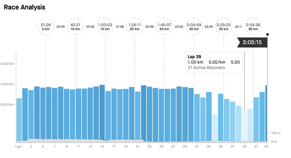 かすみがうらマラソン 2023 完走 (3時間5分22秒) - 画像11