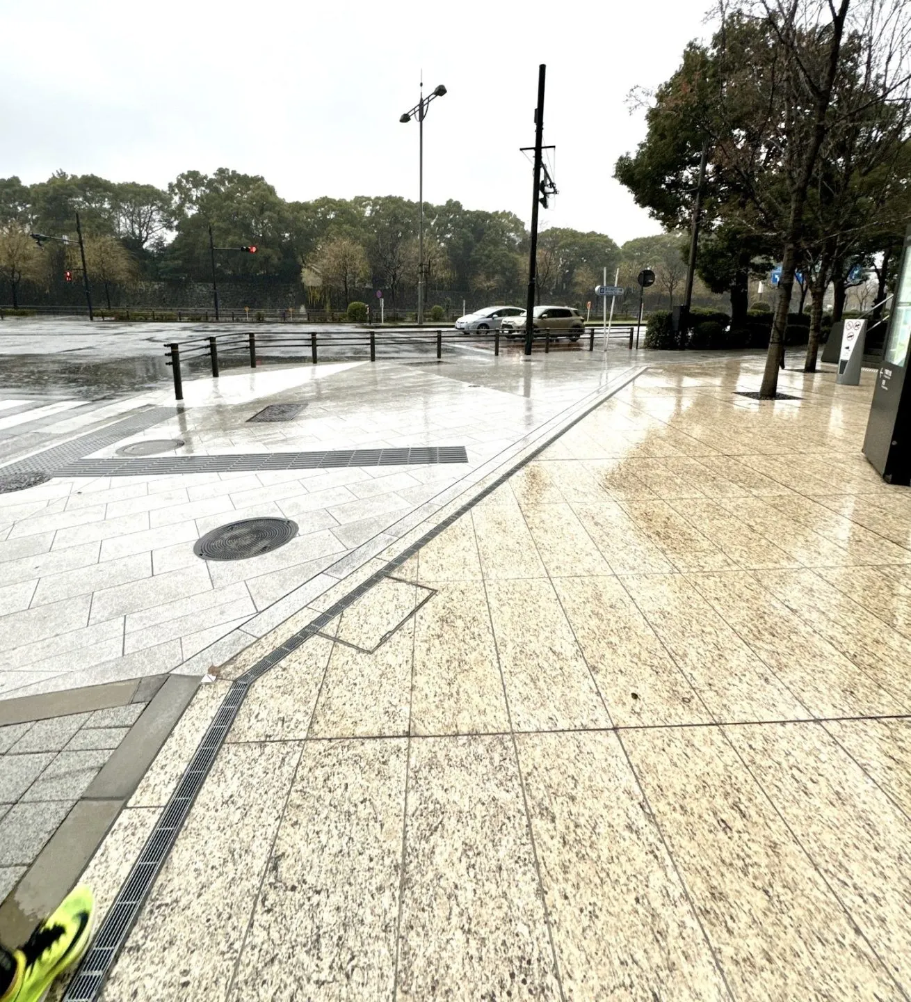 皇居で20km練習会に行ってきました - 画像3