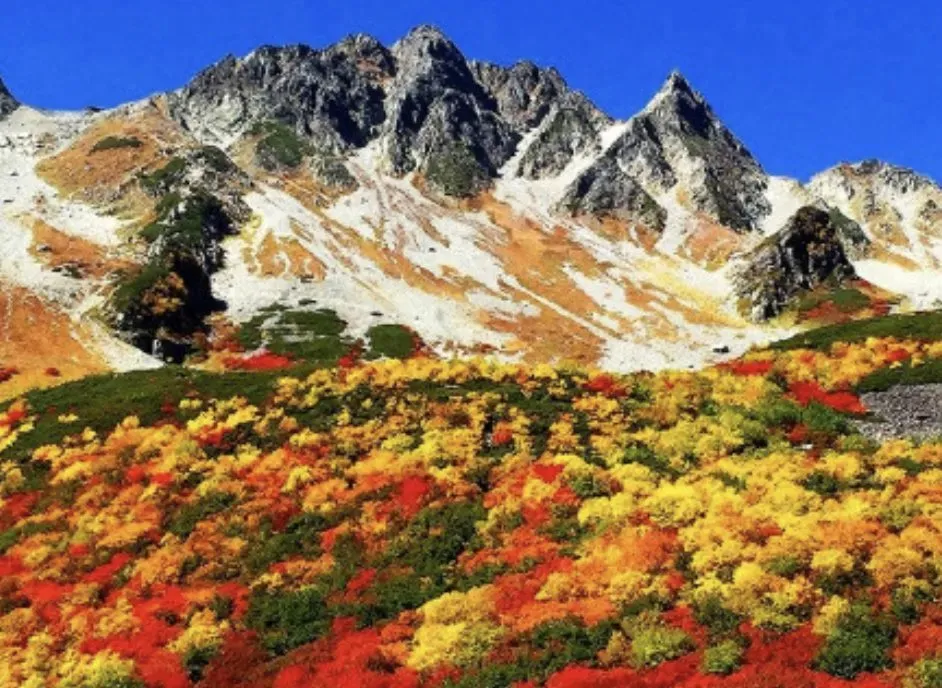 松本から小松へ270kmライド（松本→上高地 45km 編） - 画像30