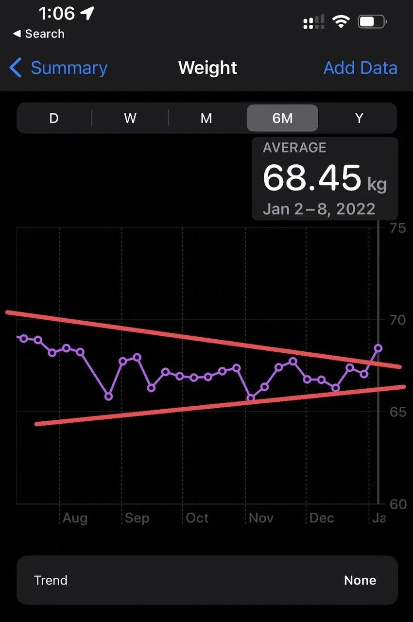 第22回 ハイテクハーフマラソン 完走(1時間30分34秒) - 画像2