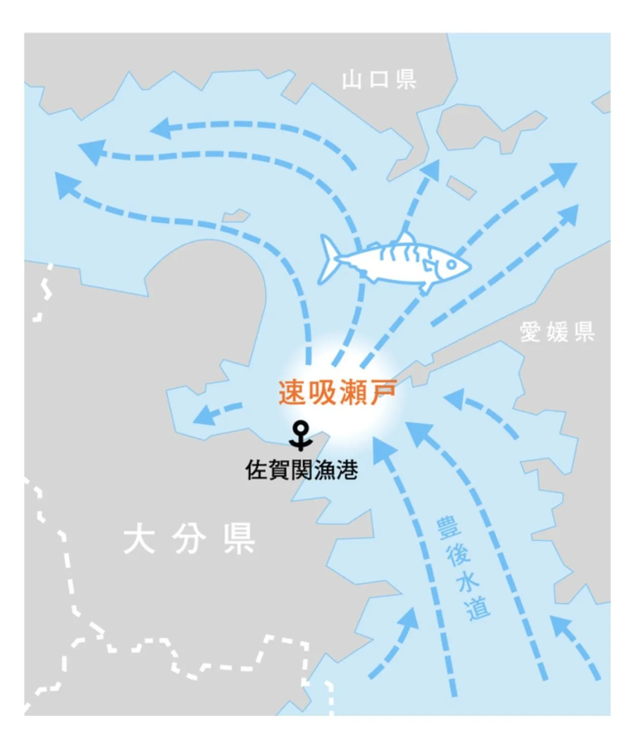 別府大分毎日マラソン2024年【準備編】 - 画像4