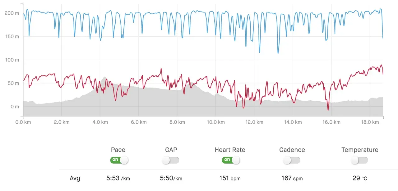 2019 小松鉄人レース 鉄人の部 エイジ2位 - 画像7