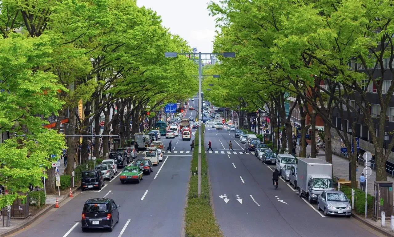 引用: https://ja.wikipedia.org/wiki/%E8%A1%A8%E5%8F%82%E9%81%93_%28%E5%8E%9F%E5%AE%BF%29#/media/%E3%83%95%E3%82%A1%E3%82%A4%E3%83%AB.JPG