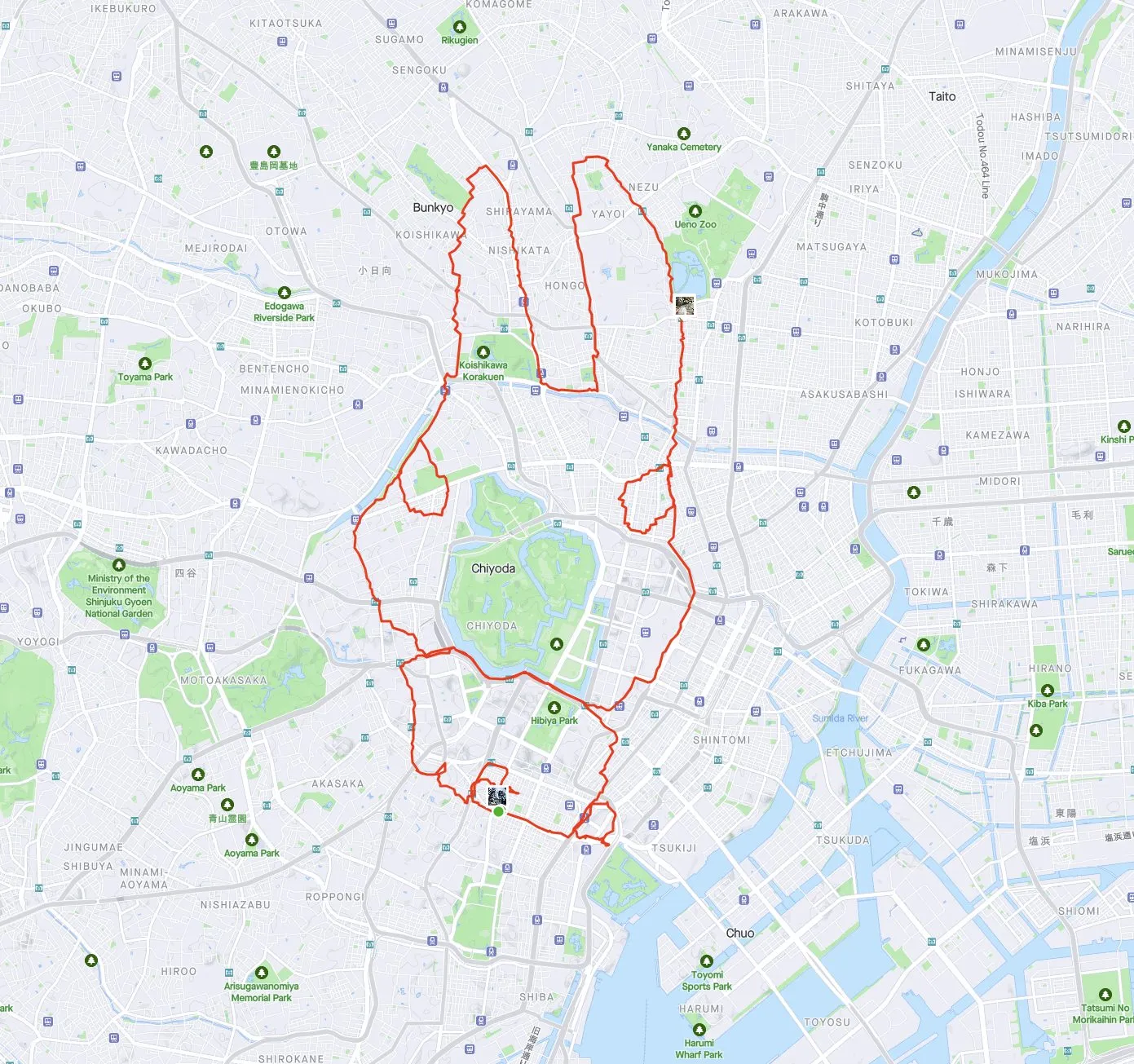 干支ラン（うさぎ）兎 🐇