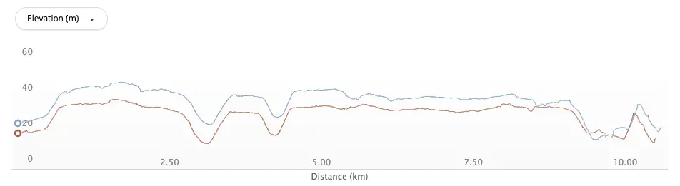Garmin Forerunner 965と2バンドGPS受信の精度をレビュー。かなり高精度！ - 画像10