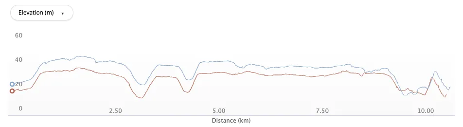 Garmin Forerunner 965と2バンドGPS受信の精度をレビュー。かなり高精度！ - 画像10