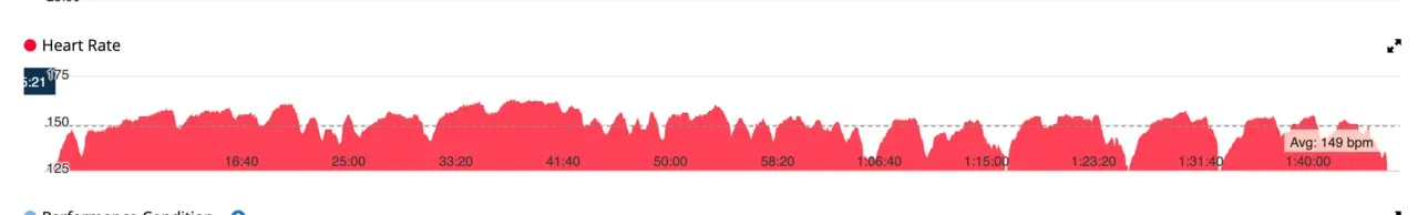 ランパートの心拍数グラフ