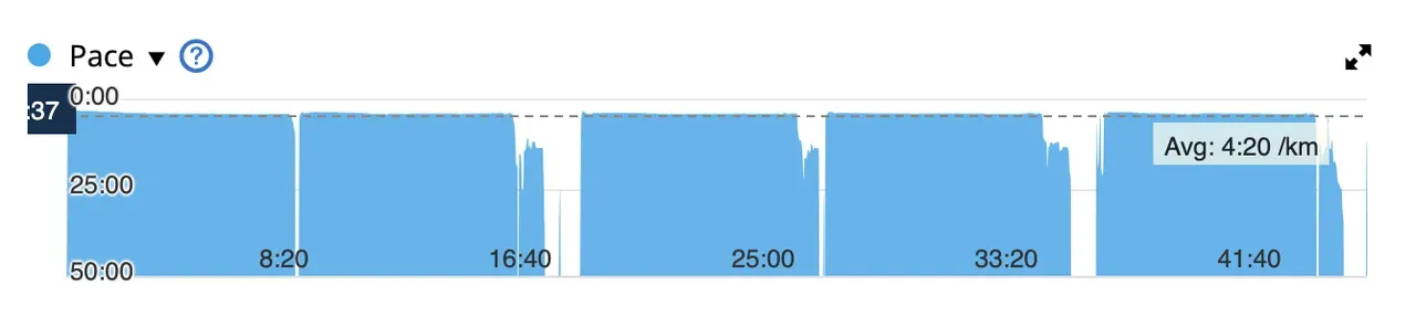 フルマラソン駅伝に参加！2km x 5本走りました - 画像9