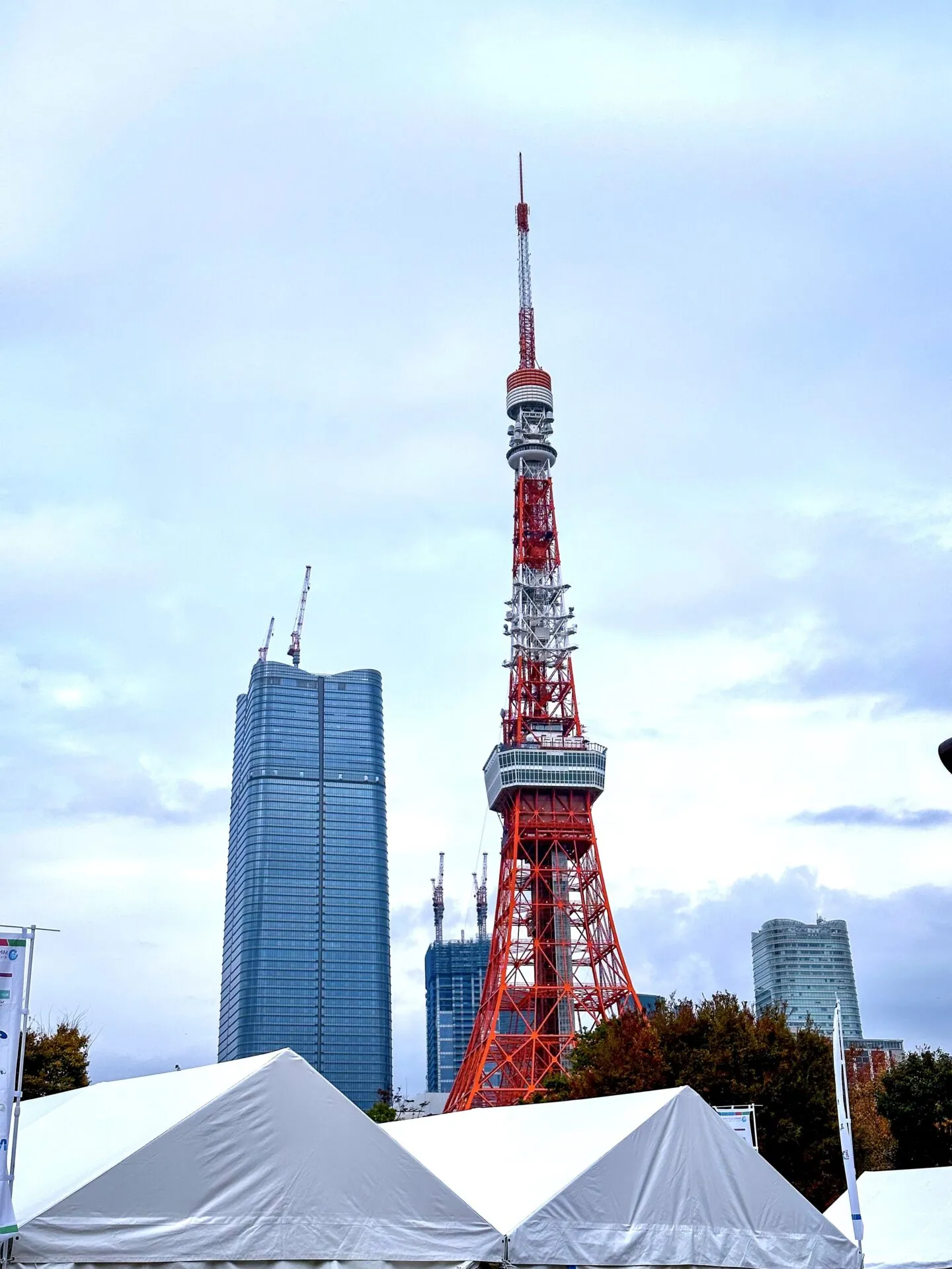 MINATOシティハーフマラソン2022 完走（1時間24分18秒） - 画像13