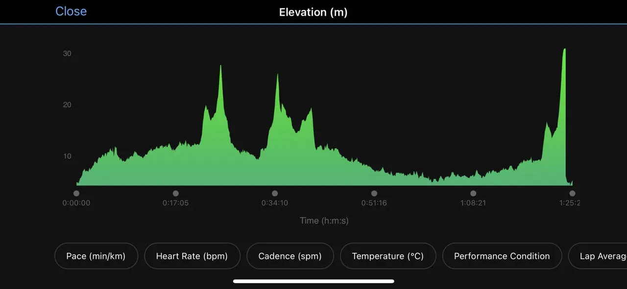 港シティハーフマラソンの高度