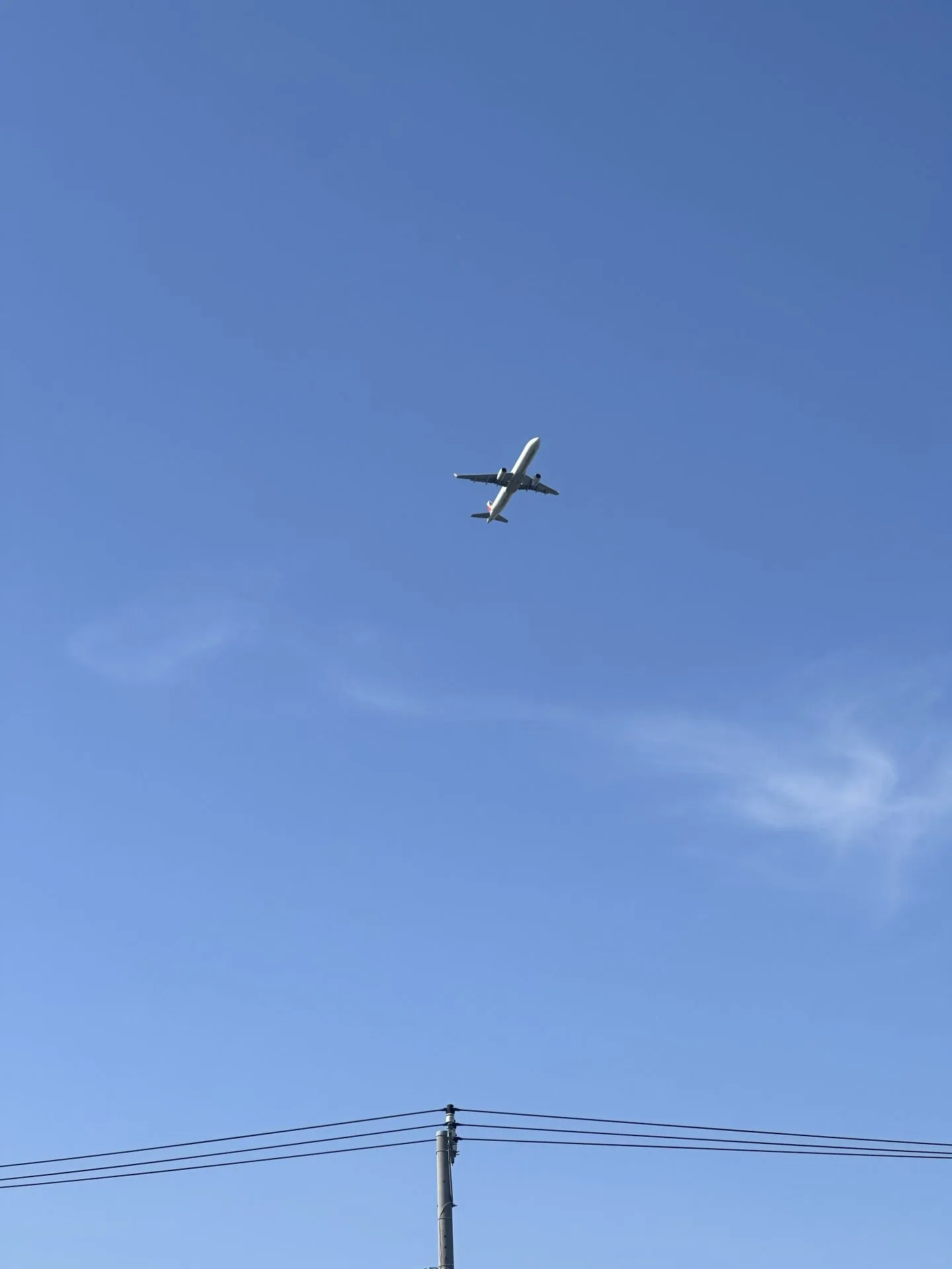 成田空港へ自走ライド！リハビリ・トレーニング - 画像5