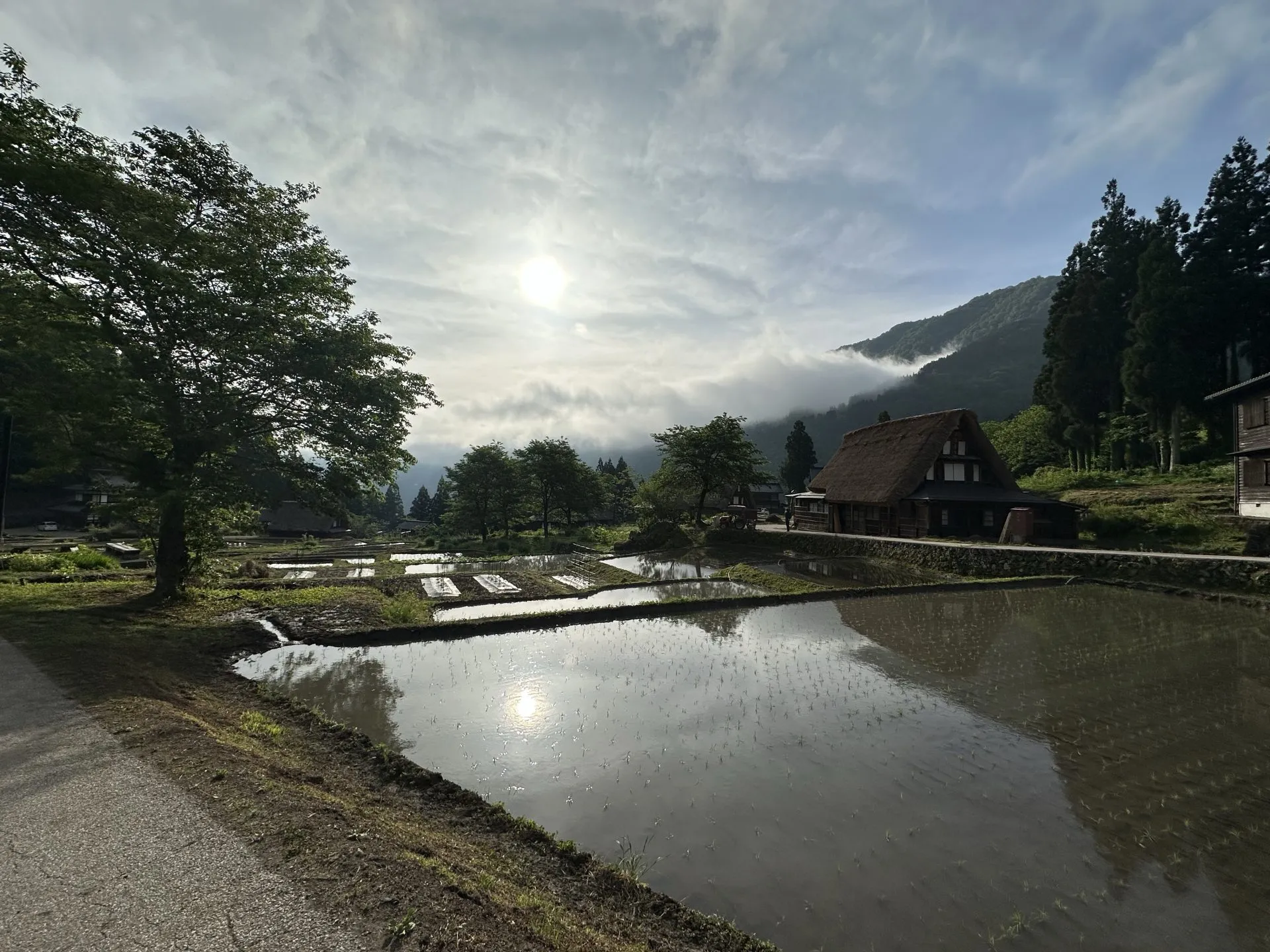 朝日に照らされた合掌造りの集落と水田