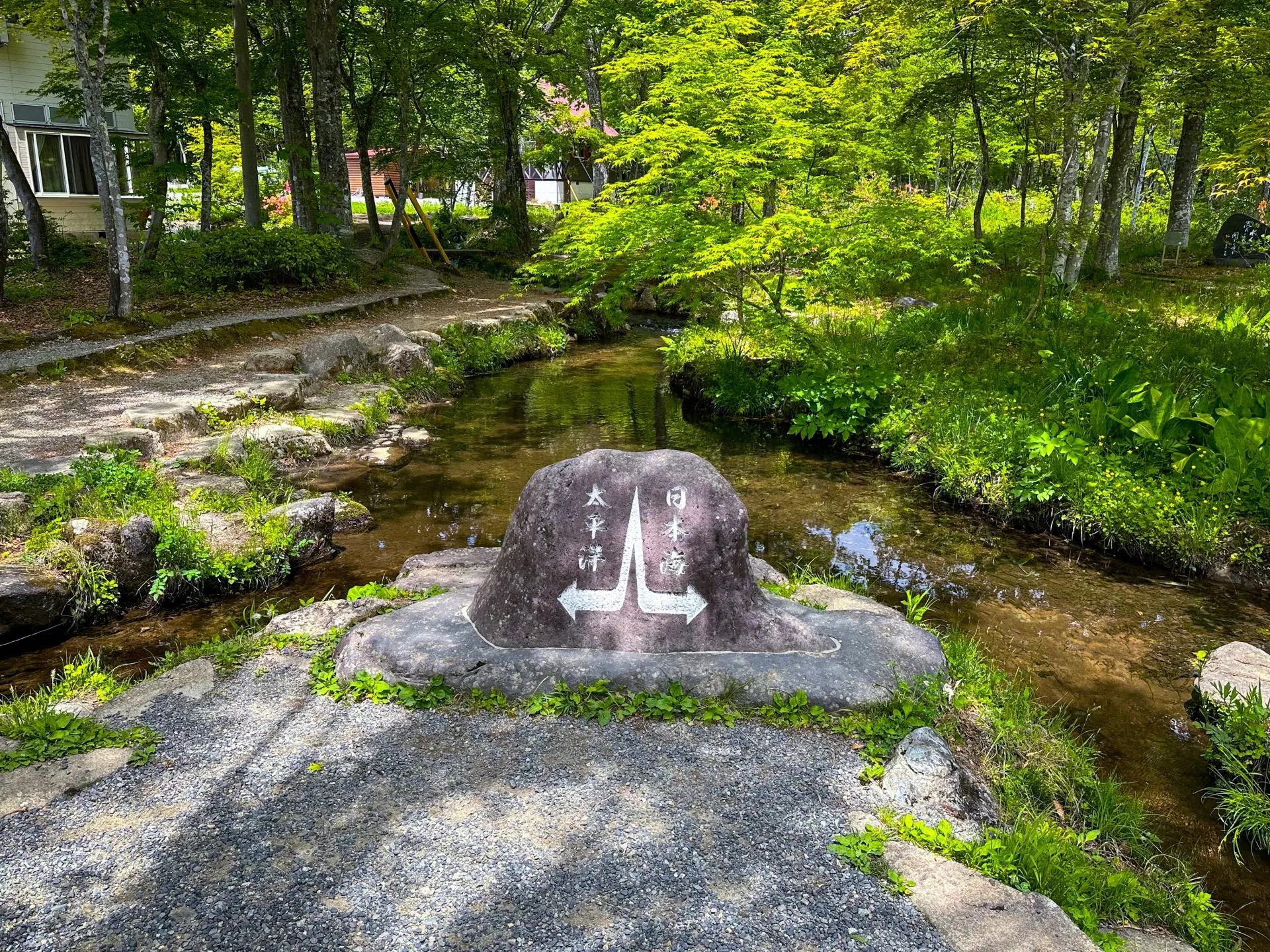 太平洋と日本海の分水嶺、透き通る清流