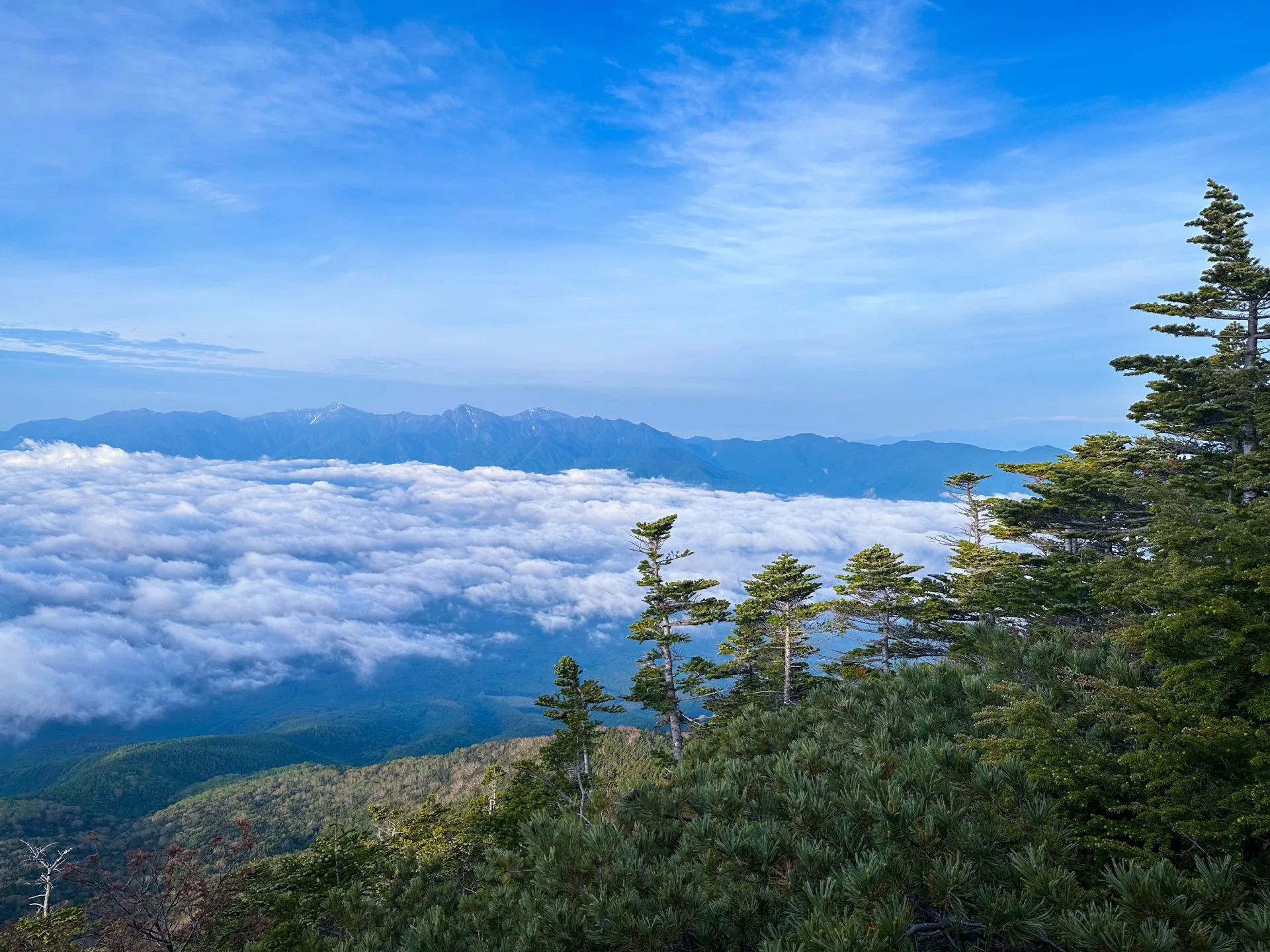 3度目の八ヶ岳。観音平〜麦草峠を縦走。景色が最高! - 画像2