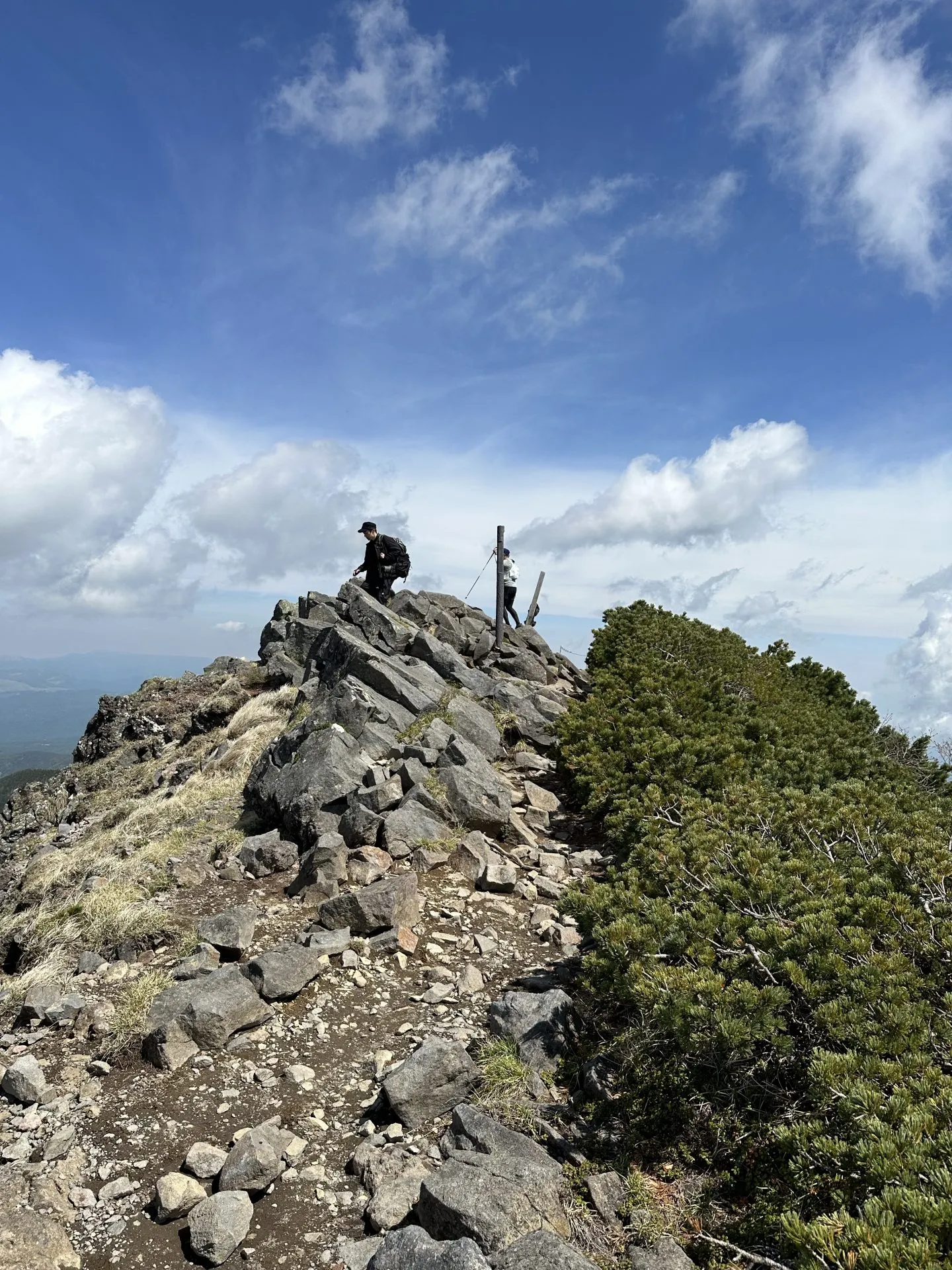 3度目の八ヶ岳。観音平〜麦草峠を縦走。景色が最高! - 画像13