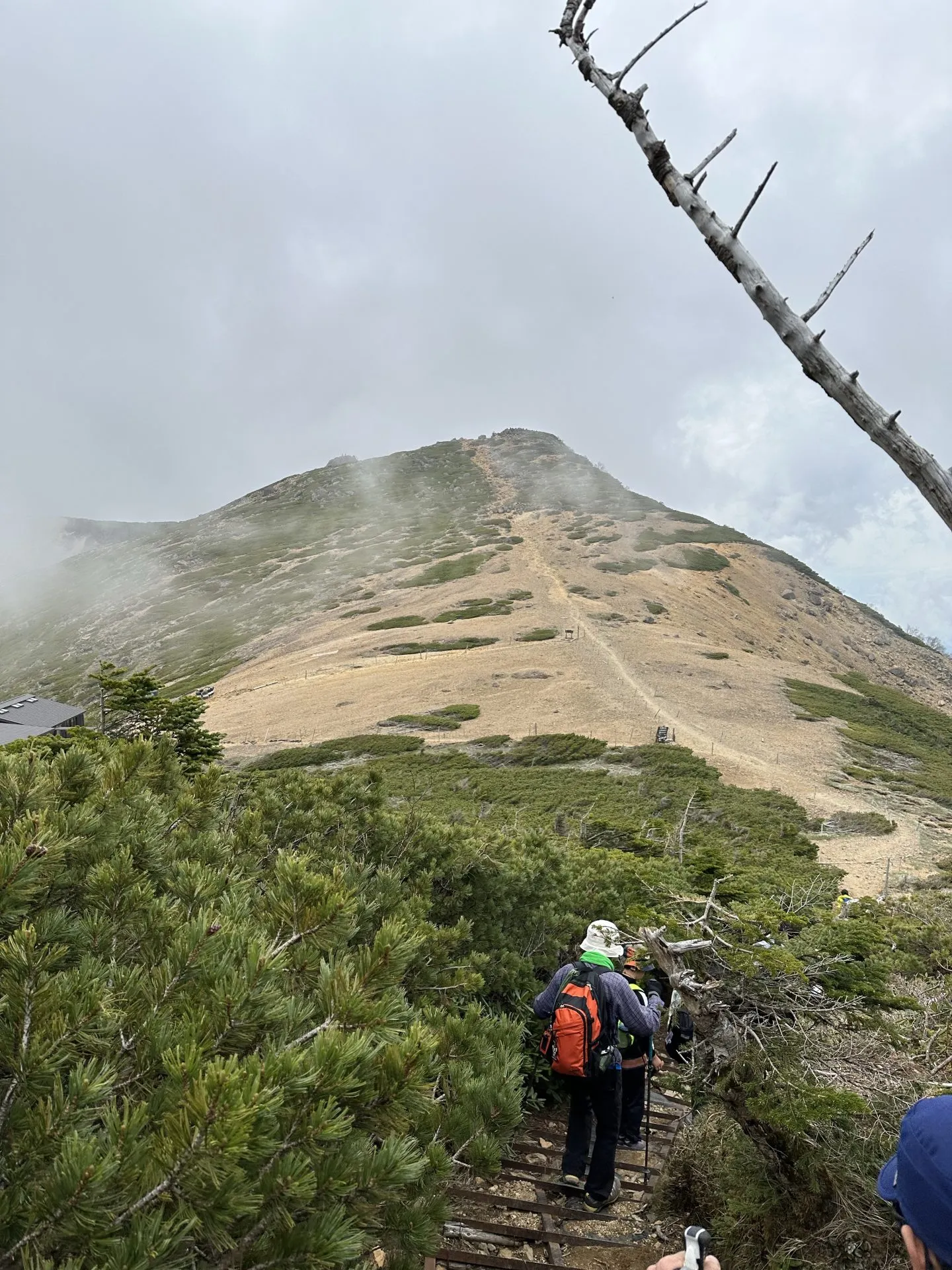 3度目の八ヶ岳。観音平〜麦草峠を縦走。景色が最高! - 画像18
