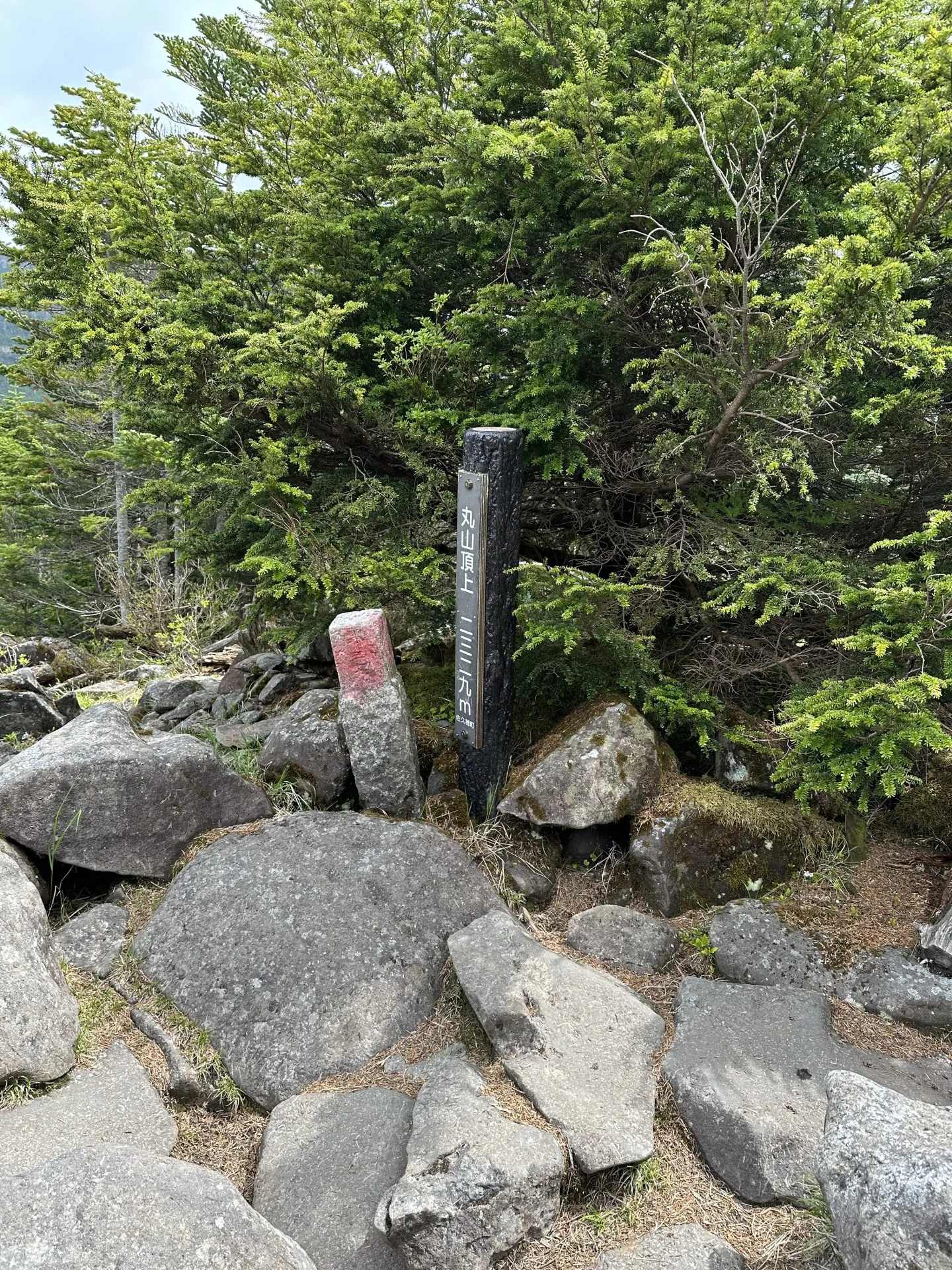 3度目の八ヶ岳。観音平〜麦草峠を縦走。景色が最高! - 画像22