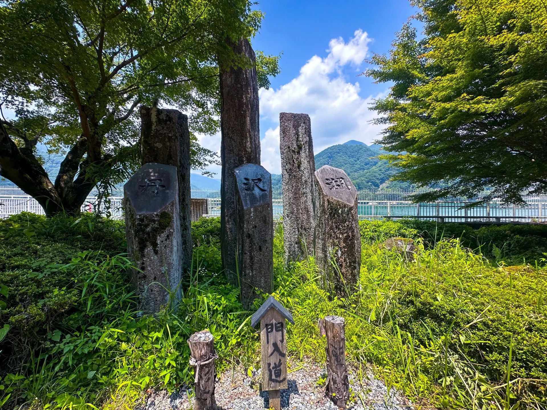 葉山⇔丹沢湖 往復ライド（坂か平地） - 画像7