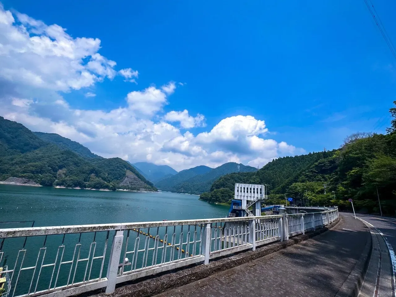 葉山⇔丹沢湖 往復ライド（坂か平地） - 画像10