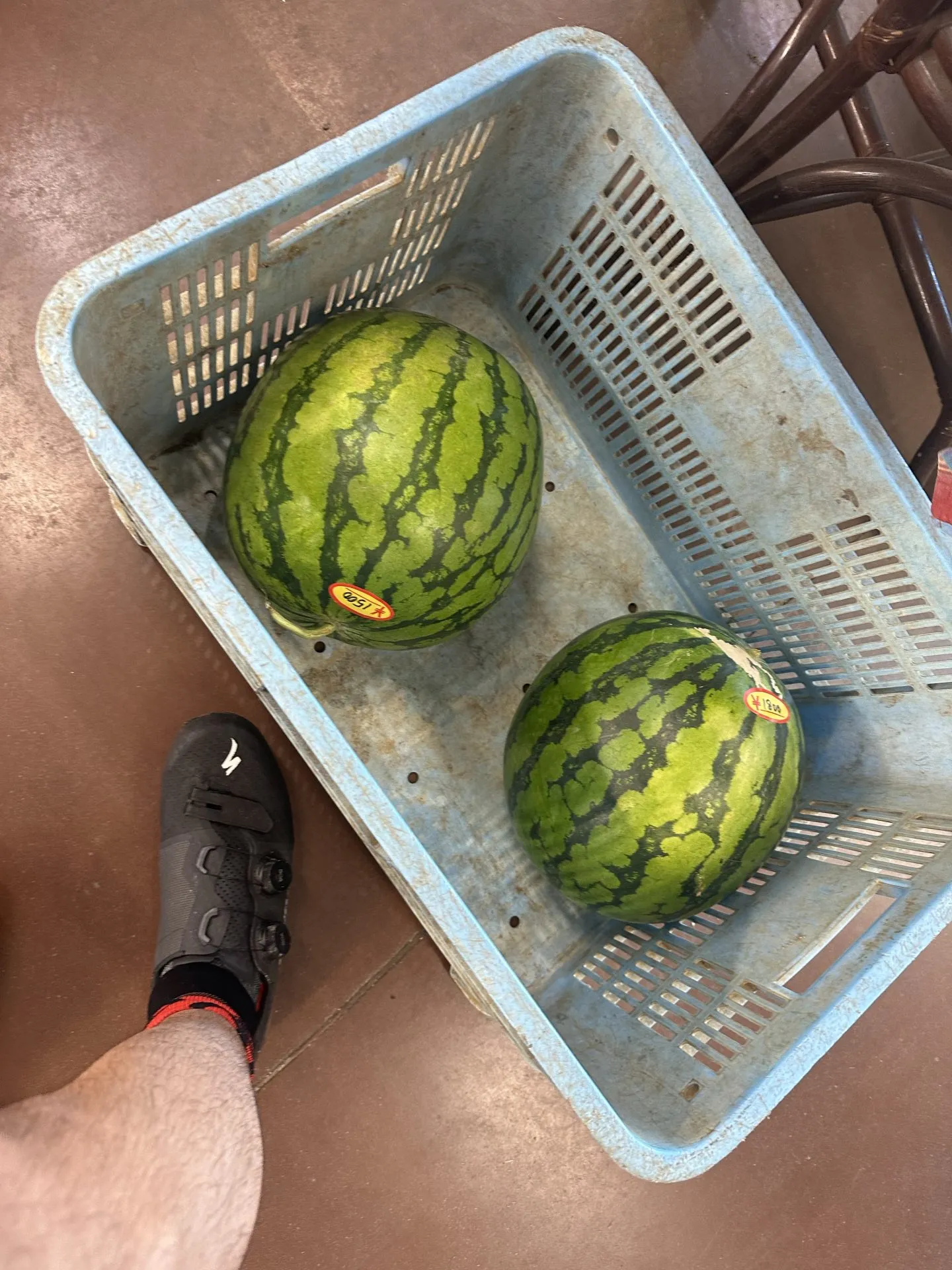 自転車で三浦イチをしてきました