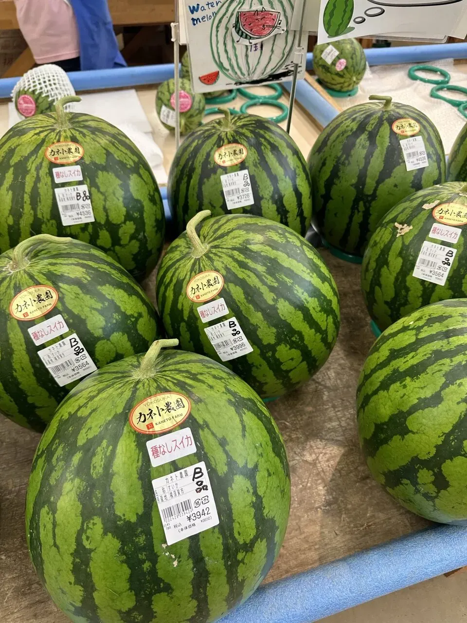 自転車で三浦イチをしてきました - 画像9