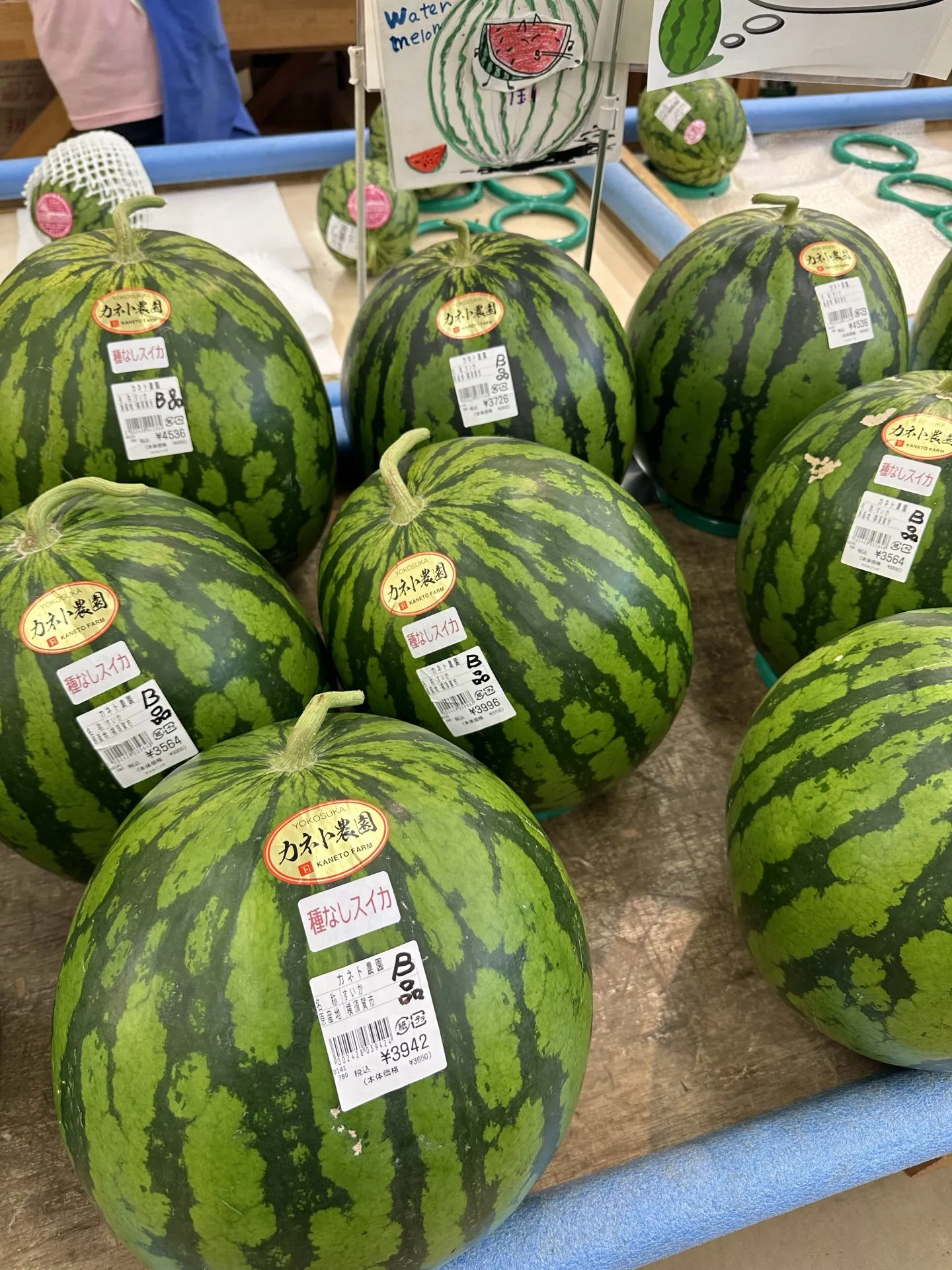 自転車で三浦イチをしてきました - 画像9