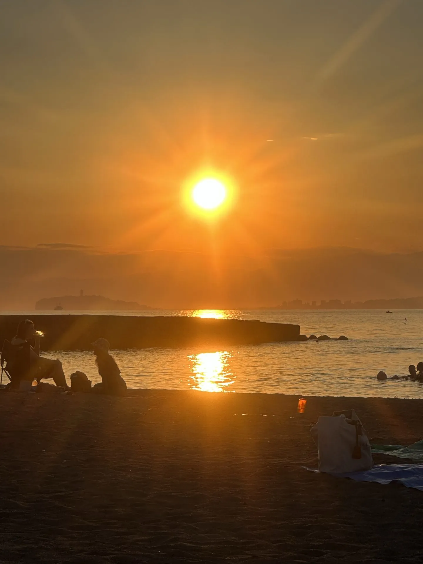 自転車で三浦イチをしてきました - 画像13