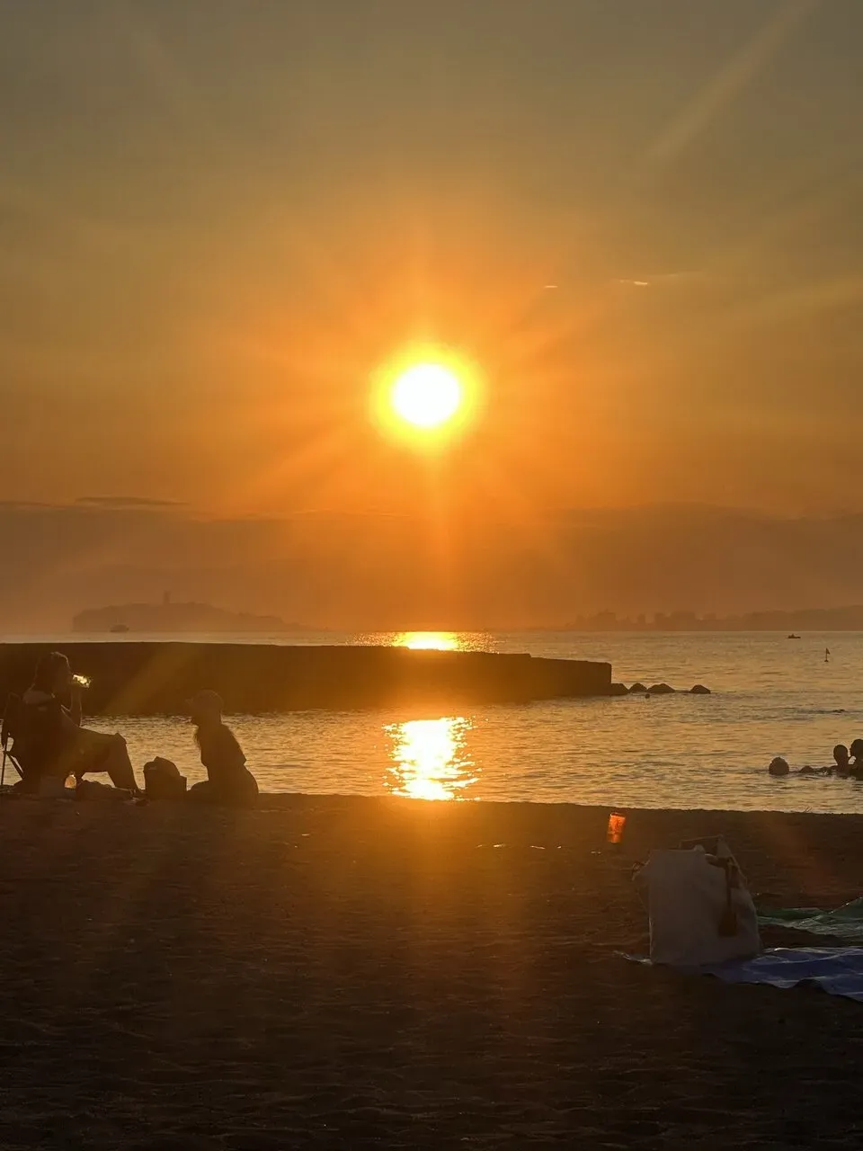 自転車で三浦イチをしてきました - 画像13