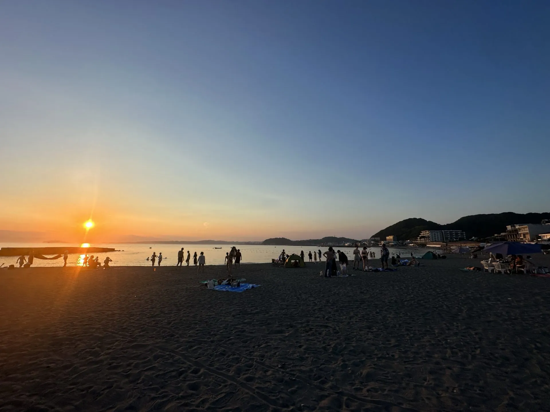 自転車で三浦イチをしてきました - 画像14