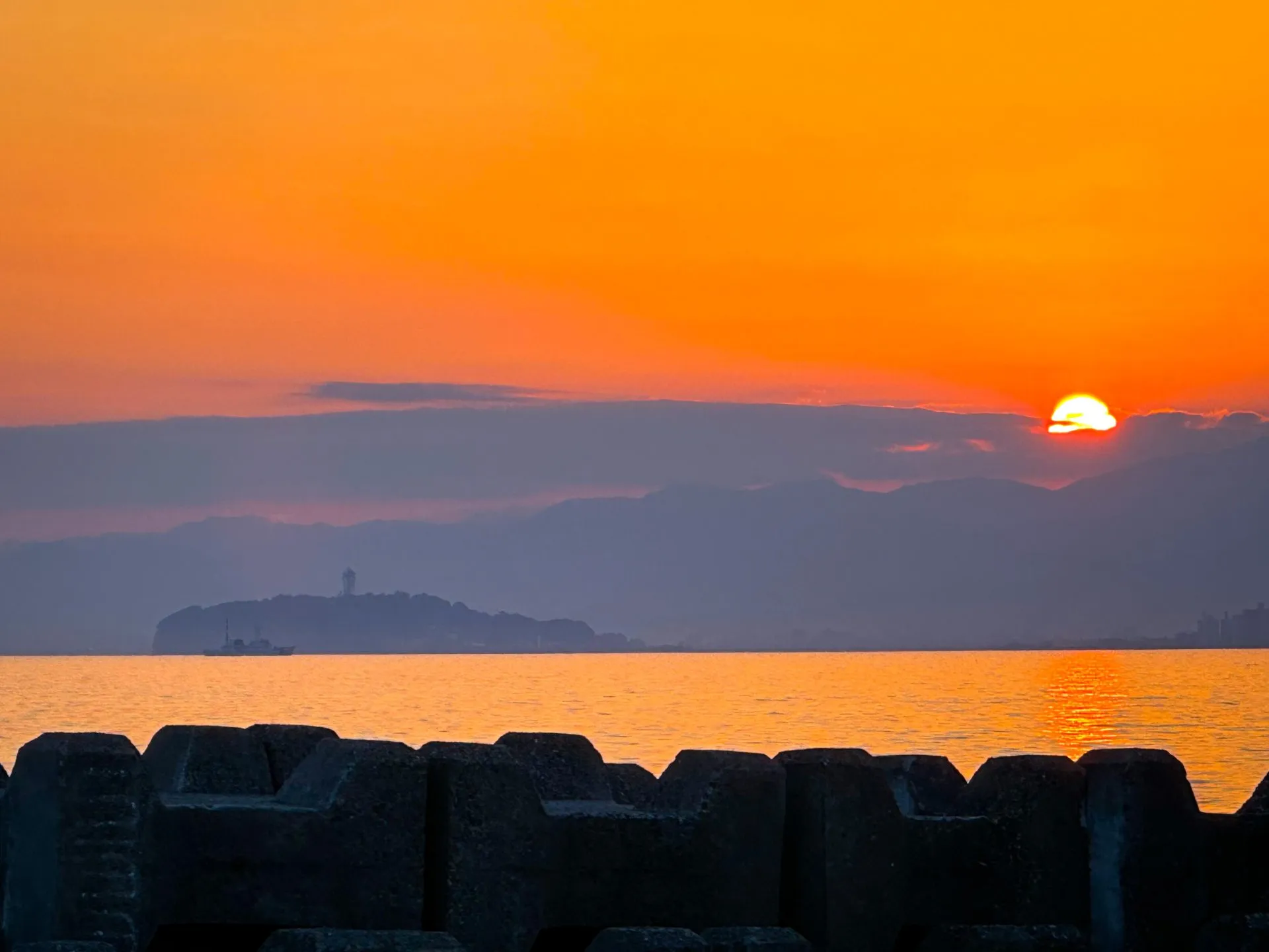 自転車で三浦イチをしてきました - 画像16