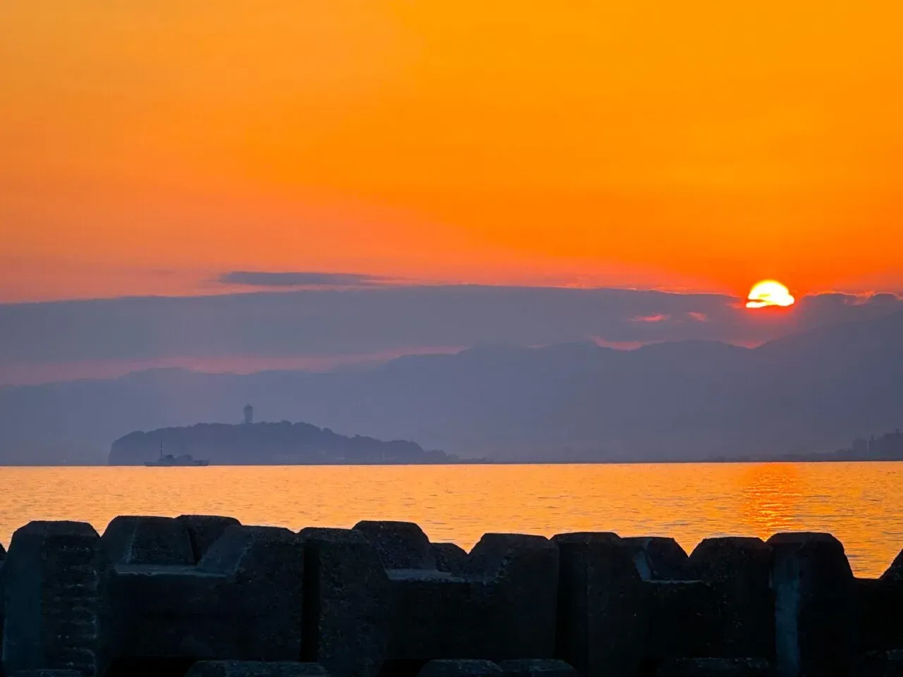 自転車で三浦イチをしてきました - 画像16