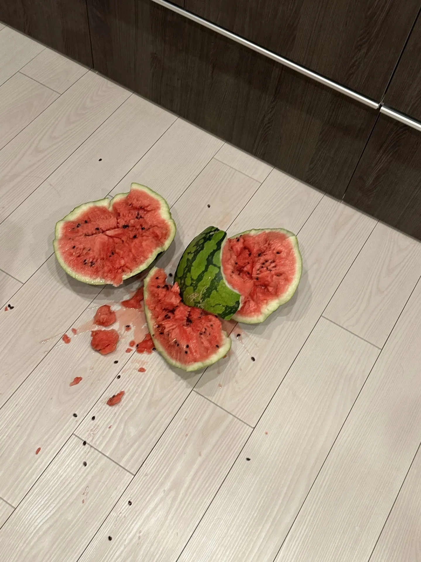 自転車で三浦イチをしてきました - 画像19