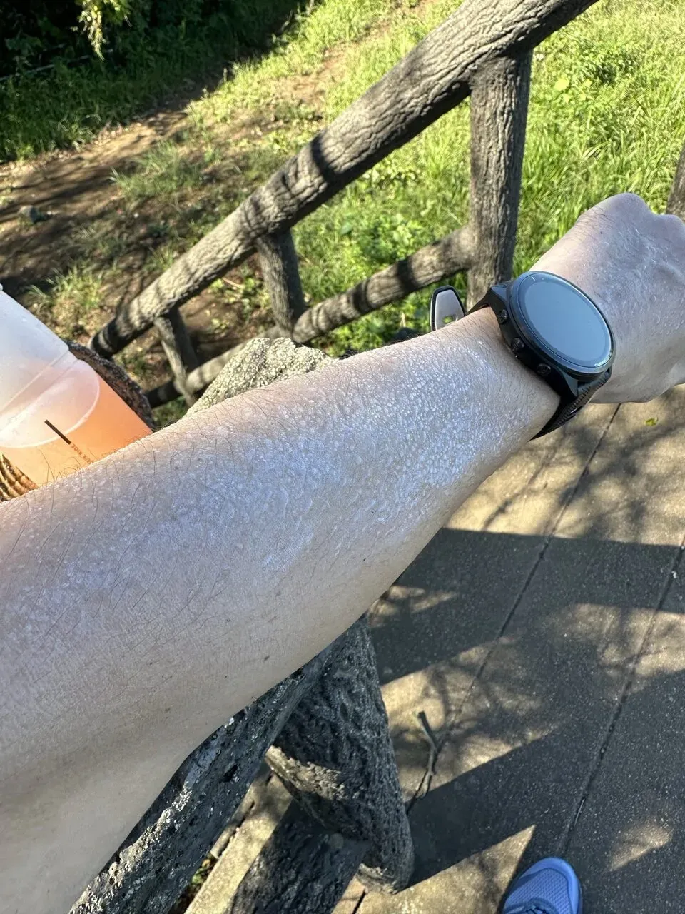 三浦アルプスでトレラン - 画像2