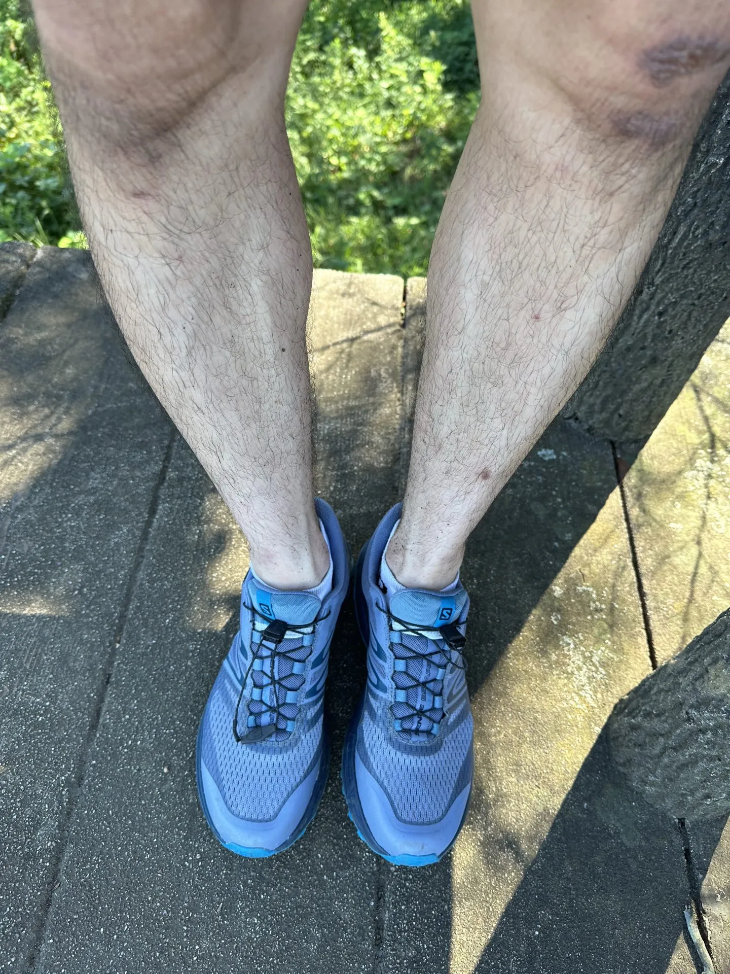 三浦アルプスでトレラン - 画像3