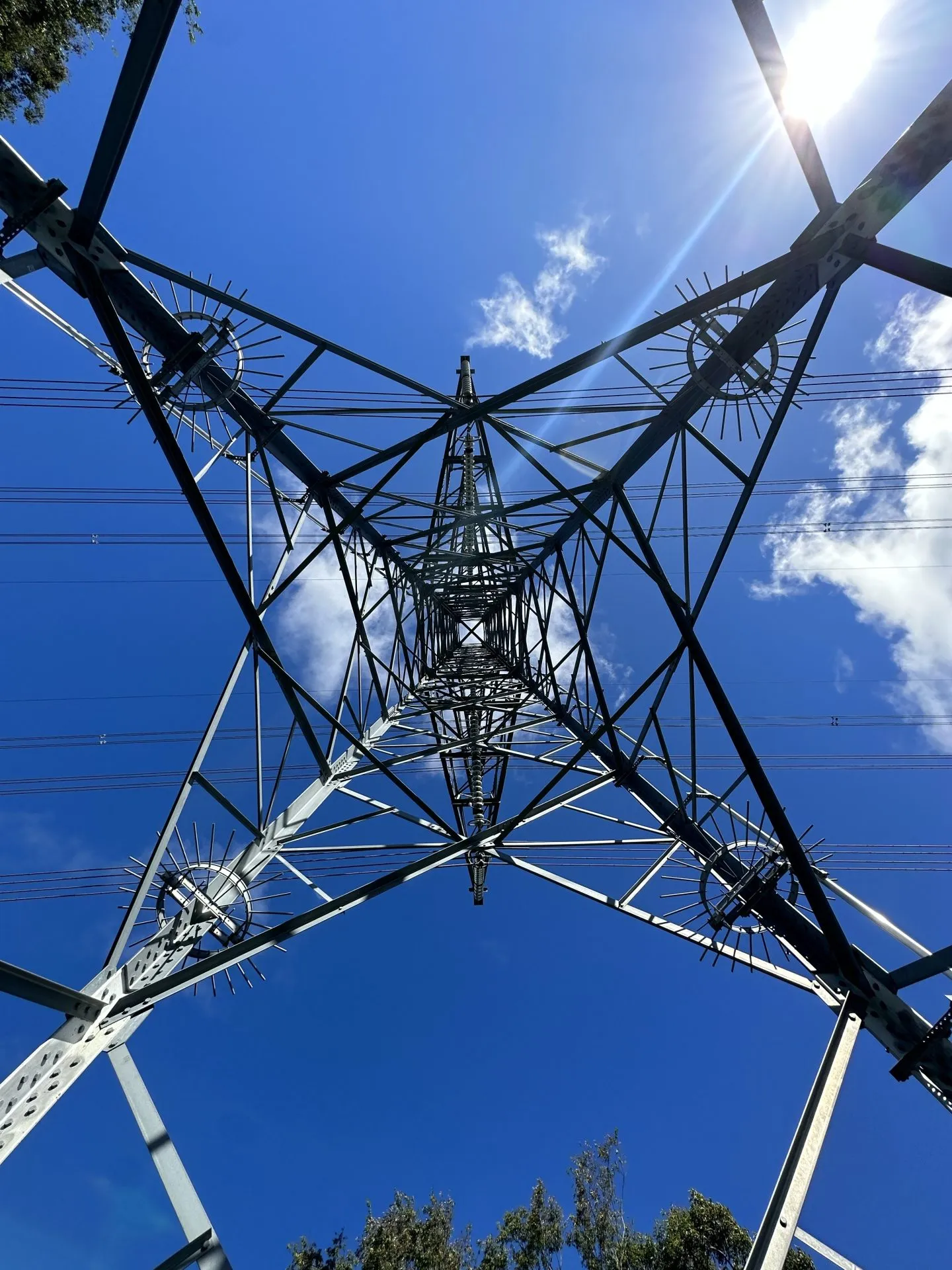 三浦アルプスでトレラン - 画像9