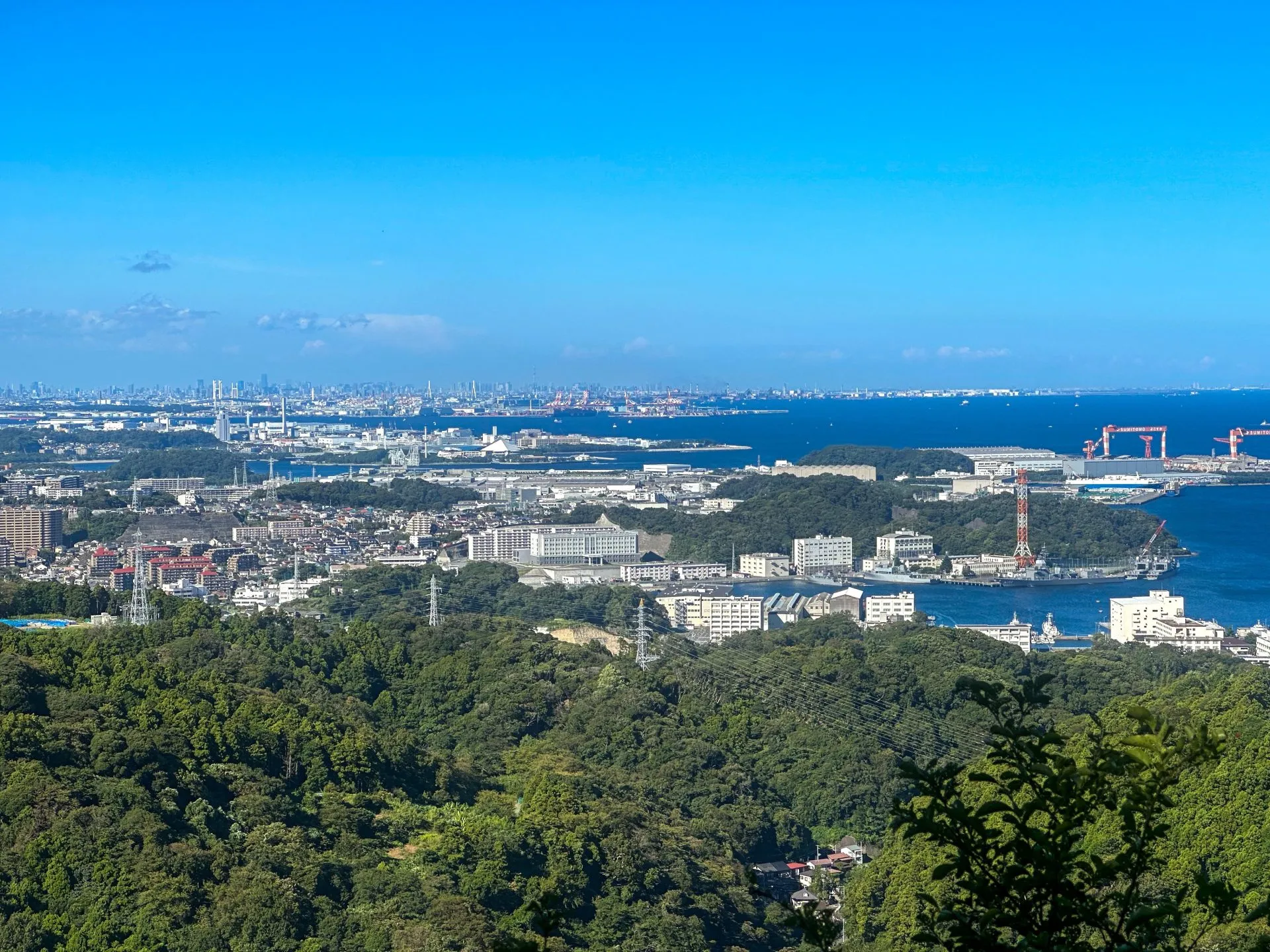 三浦アルプスでトレラン - 画像10