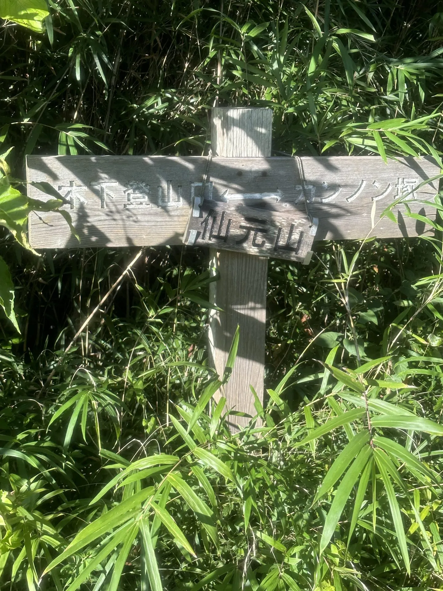 三浦アルプスでトレラン - 画像14